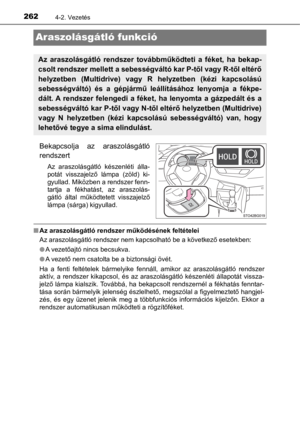 Page 262