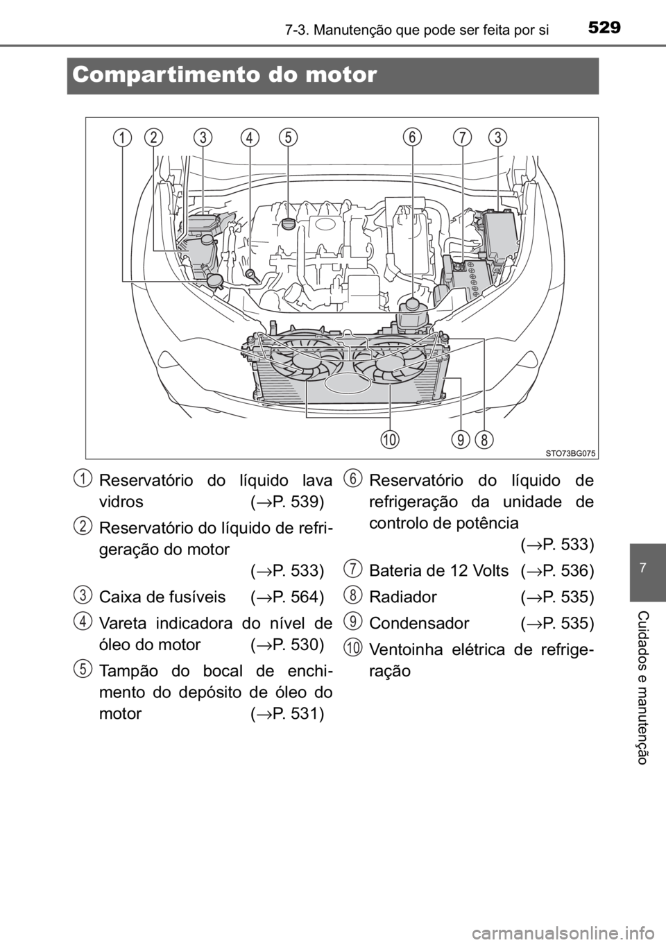 TOYOTA C_HR HYBRID 2016  Manual de utilização (in Portuguese) 529������0�D�Q�X�W�H�Q�o�m�R��T�X�H��S�R�G�H��V�H�U��I�H�L�W�D��S�R�U��V�L
�
�&�X�L�G�D�G�R�V��H��P�D�Q�X�W�H�Q�o�m�R
Compar timento do motor
�5�H�V�H�U�Y�D�W�y�U�L�R� �G�R� �O�t�T�X�L