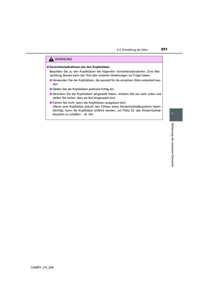 Page 251