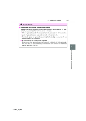 Page 251