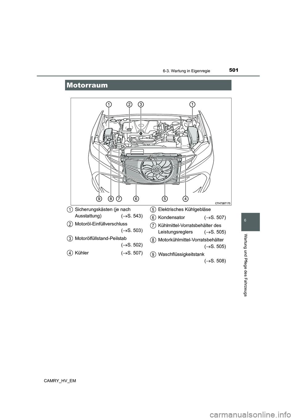 TOYOTA CAMRY 2020  Betriebsanleitungen (in German) 5016-3. Wartung in Eigenregie
6
Wartung und Pflege des Fahrzeugs
CAMRY_HV_EM
Motorraum
Sicherungskästen (je nach 
Ausstattung) (→S. 543)
Motoröl-Einfüllverschluss 
(→S. 503)
Motorölfüllstand-