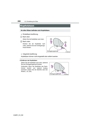 Page 250