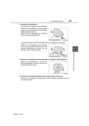Page 251