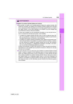 Page 111