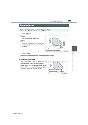 Page 251