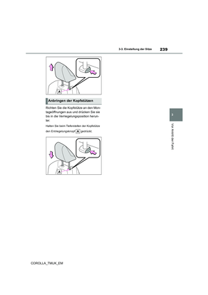 Page 239