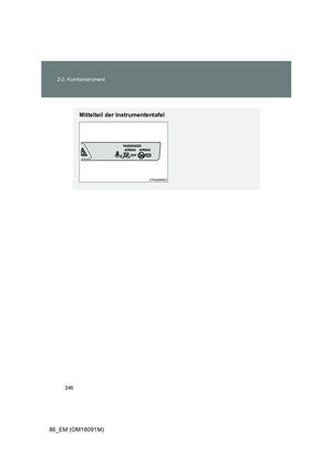 Page 246