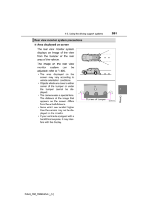 Page 261
