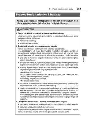 Page 251