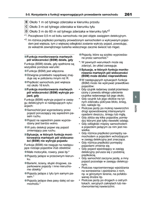 Page 261