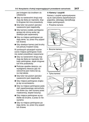 Page 317
