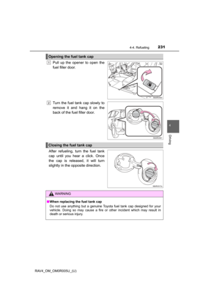 Page 231