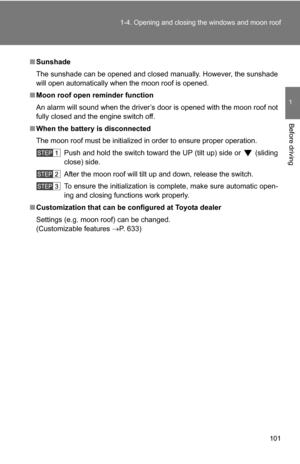 Page 101