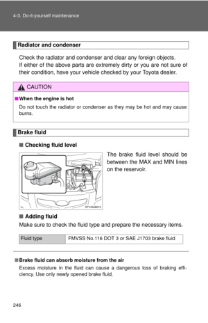 Page 246