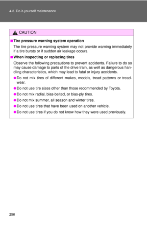 Page 256