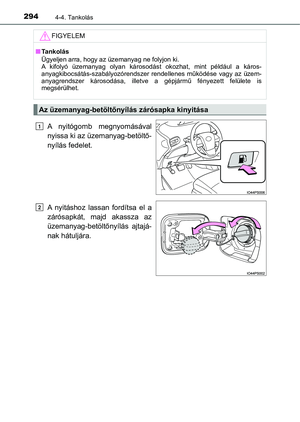 Page 294