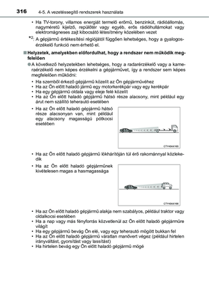 Page 316