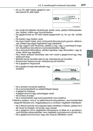Page 317