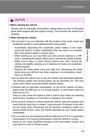 Page 119