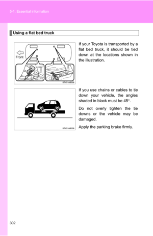 Page 302