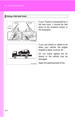 Page 310