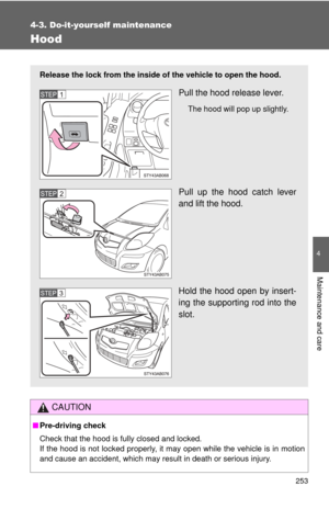 Page 253