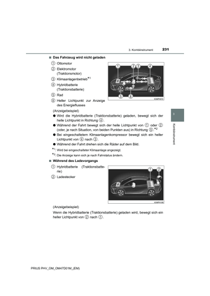 Page 231