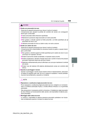 Page 529