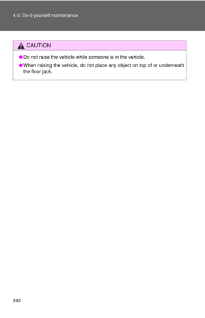 Page 242
