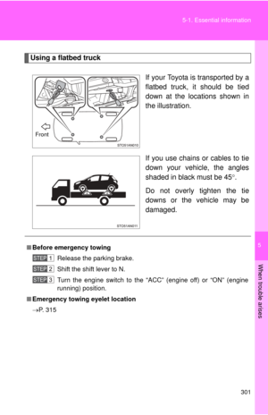 Page 301