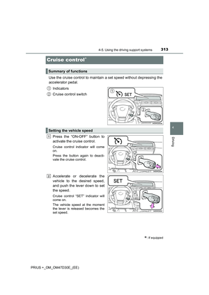 Page 313