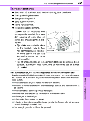 Page 493