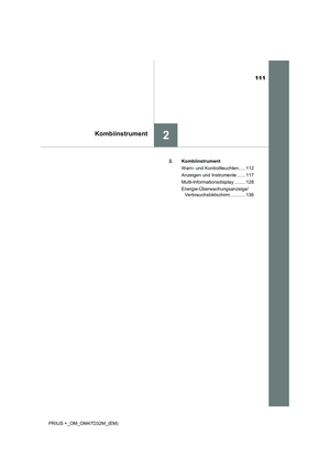 Page 111