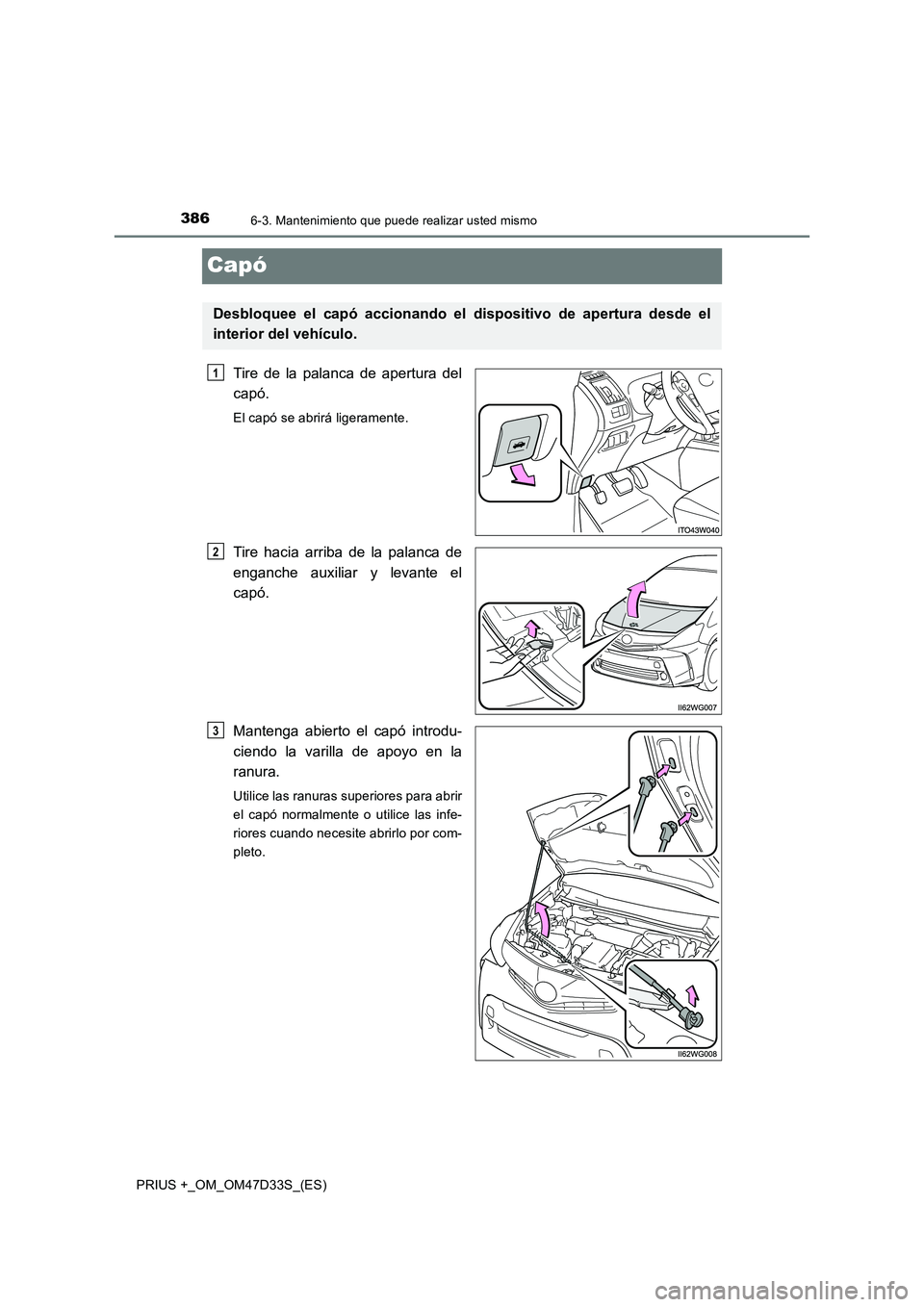 TOYOTA PRIUS PLUS 2019  Manual del propietario (in Spanish) 3866-3. Mantenimiento que puede realizar usted mismo
PRIUS +_OM_OM47D33S_(ES)
Capó
Tire de la palanca de apertura del
capó.
El capó se abrirá ligeramente.
Tire hacia arriba de la palanca de
enganc