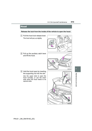 Page 313