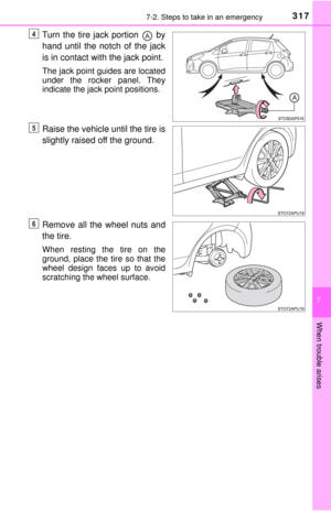 Page 317