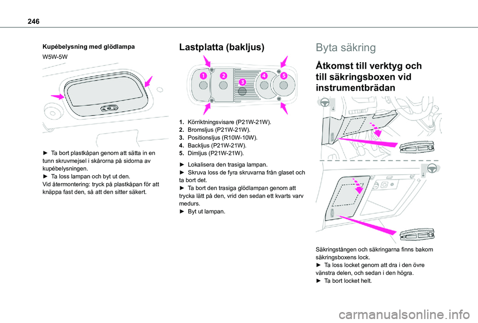TOYOTA PROACE VERSO EV 2020  Bruksanvisningar (in Swedish) 246
Kupébelysning med glödlampa
W5W-5W 
 
► Ta bort plastkåpan genom att sätta in en tunn skruvmejsel i skårorna på sidorna av kupébelysningen.► Ta loss lampan och byt ut den.Vid återmonte