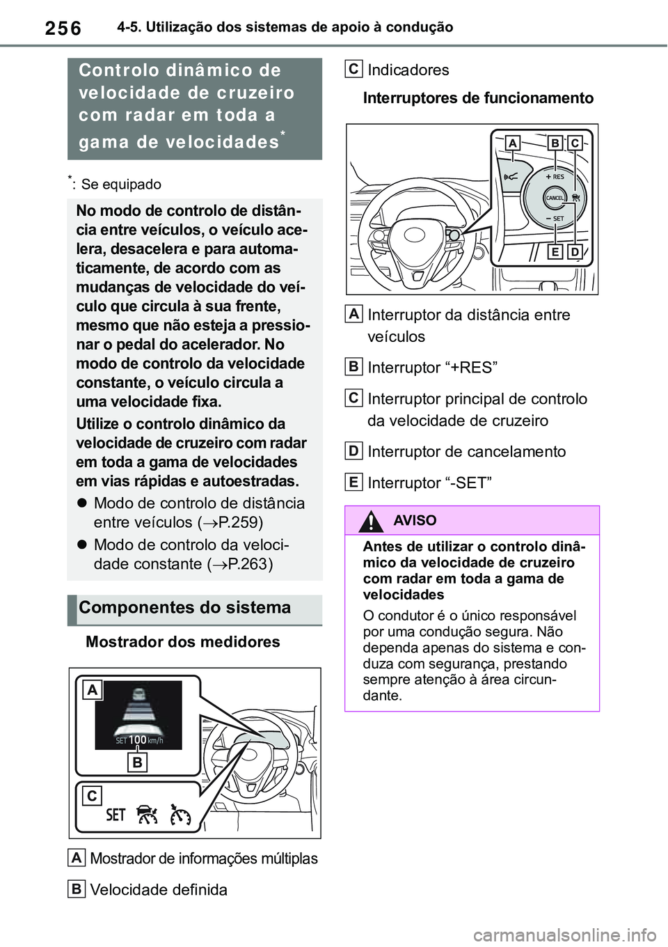 TOYOTA RAV4 2022  Manual de utilização (in Portuguese) 2564-5. Utilização dos sistemas de apoio à condução
*: Se equipado
Mostrador dos medidores
Mostrador de informações múltiplas
Velocidade definida
Indicadores
Interruptores de funcionamento
Int