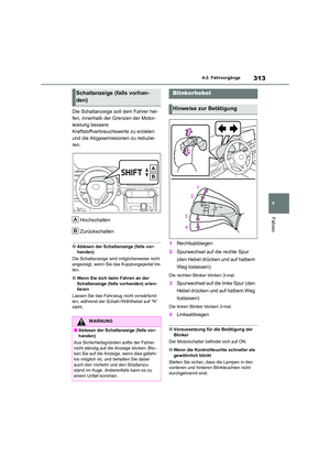 Page 313