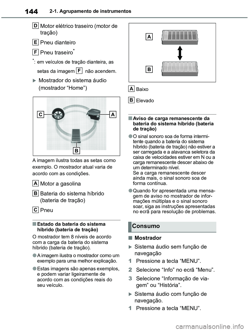 TOYOTA RAV4 2021  Manual de utilização (in Portuguese) 1442-1. Agrupamento de instrumentos
Motor elétrico traseiro (motor de 
tração)
Pneu dianteiro
Pneu traseiro
*
*: em veículos de tração dianteira, as 
setas da imagem   não acendem.
Mostrador