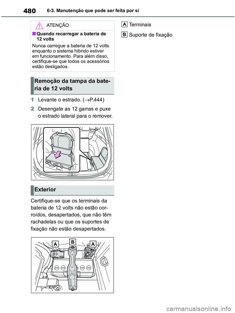 TOYOTA RAV4 2020  Manual de utilização (in Portuguese) 4806-3. Manutenção que pode ser feita por si
1Levante o estrado. (P.444)
2Desengate as 12 garras e puxe 
o estrado lateral para o remover.
Certifique-se que os terminais da 
bateria de 12 volts n