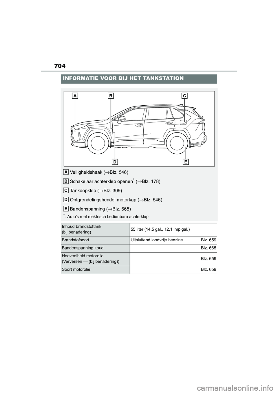 TOYOTA RAV4 2019  Instructieboekje (in Dutch) 704
INFORMATIE VOOR BIJ HET TANKSTATION
Veiligheidshaak (→Blz. 546)
Schakelaar achterklep openen
* ( → Blz. 178)
Tankdopklep ( →Blz. 309)
Ontgrendelingshendel motorkap ( →Blz. 546)
Bandenspann