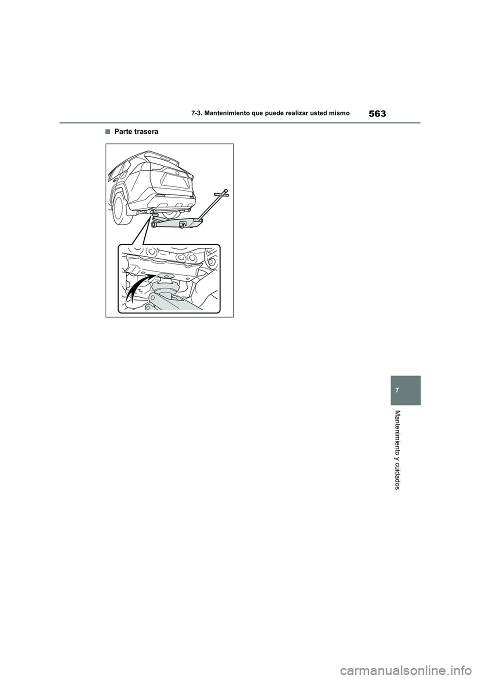 TOYOTA RAV4 2018  Manual del propietario (in Spanish) 563
7 7-3. Mantenimiento que puede realizar usted mismo
Mantenimiento y cuidados
■Parte trasera 