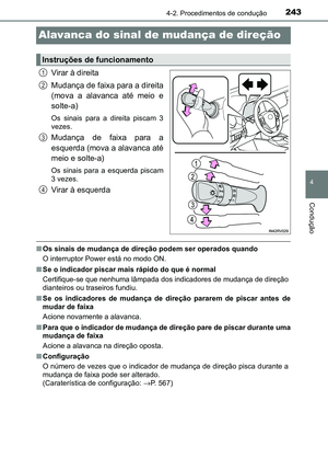 Page 243