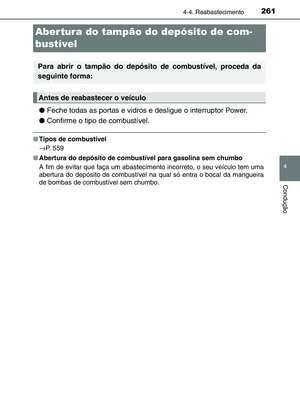 Page 261