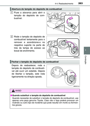 Page 263