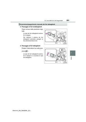 Page 251