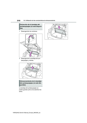 Page 310