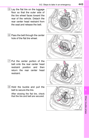 Page 443