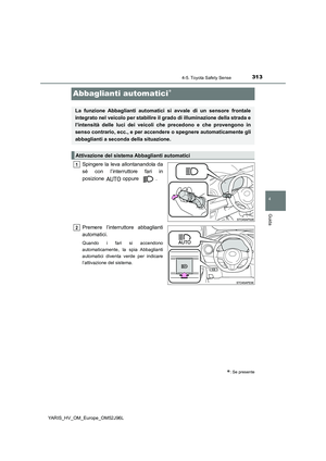 Page 313